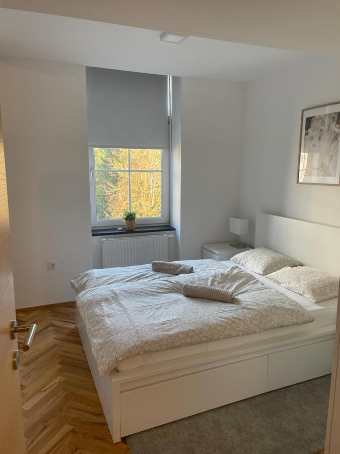 Casa Park Premium Free Parking Maribor Exterior foto